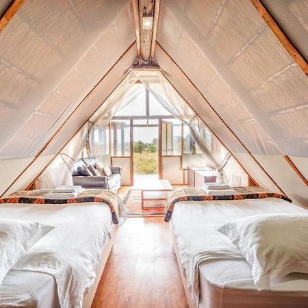 Buffelshoek Tented Camp Manyeleti Game Reserve Exterior foto
