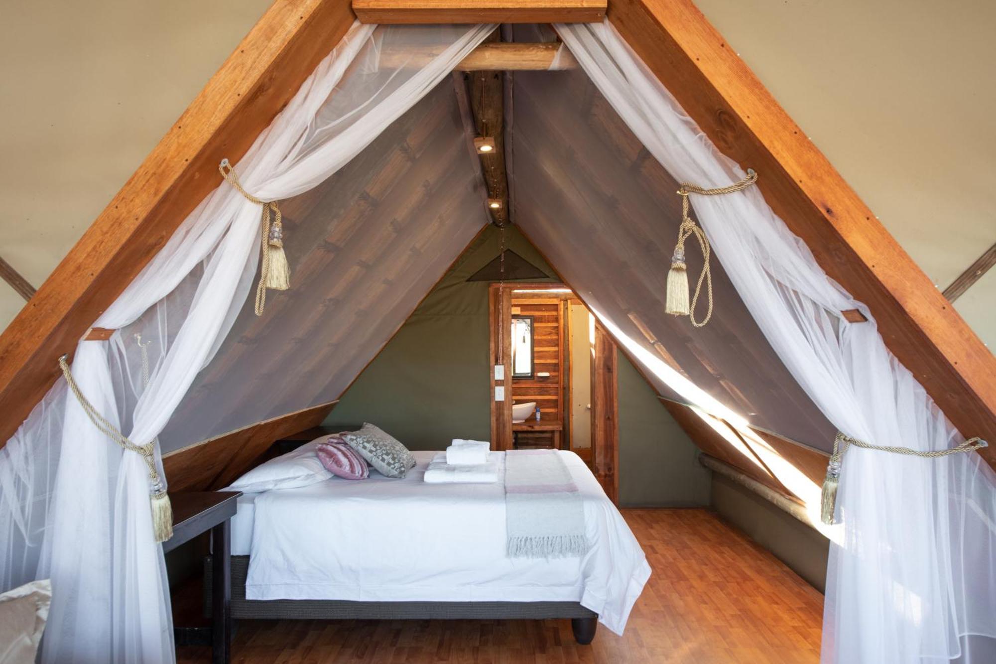 Buffelshoek Tented Camp Manyeleti Game Reserve Quarto foto