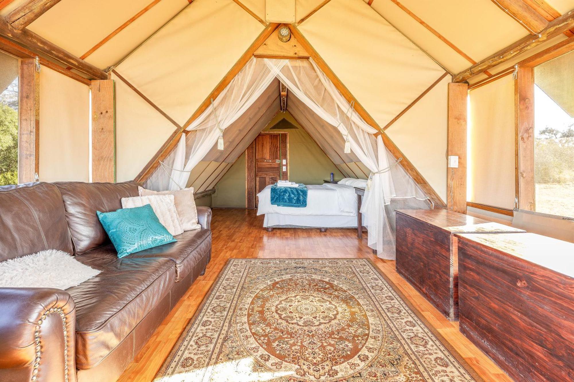 Buffelshoek Tented Camp Manyeleti Game Reserve Exterior foto