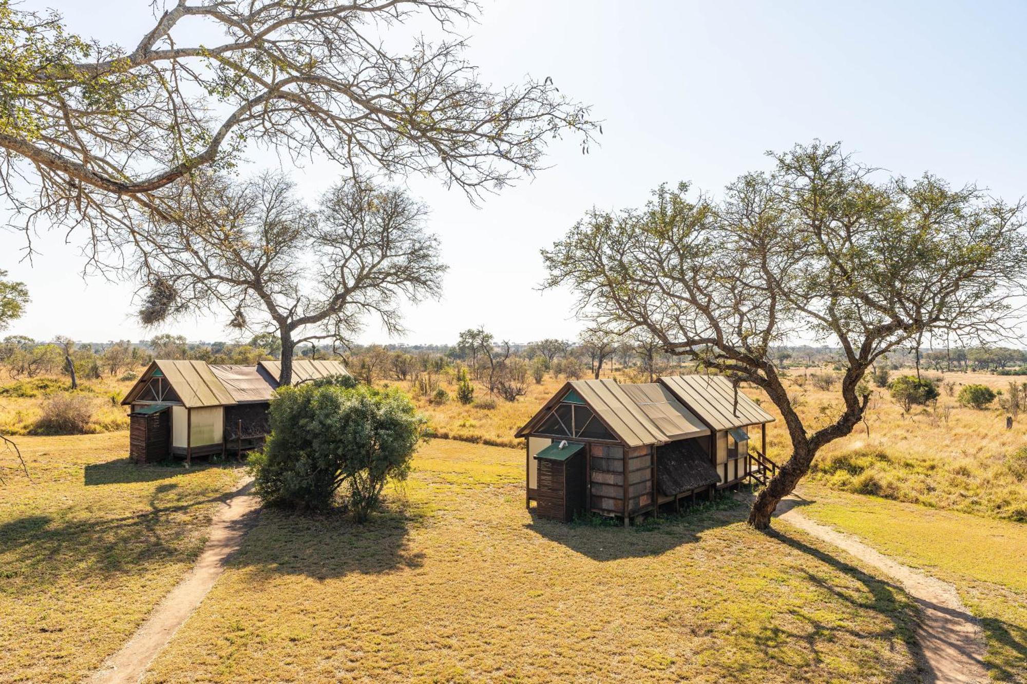 Buffelshoek Tented Camp Manyeleti Game Reserve Quarto foto