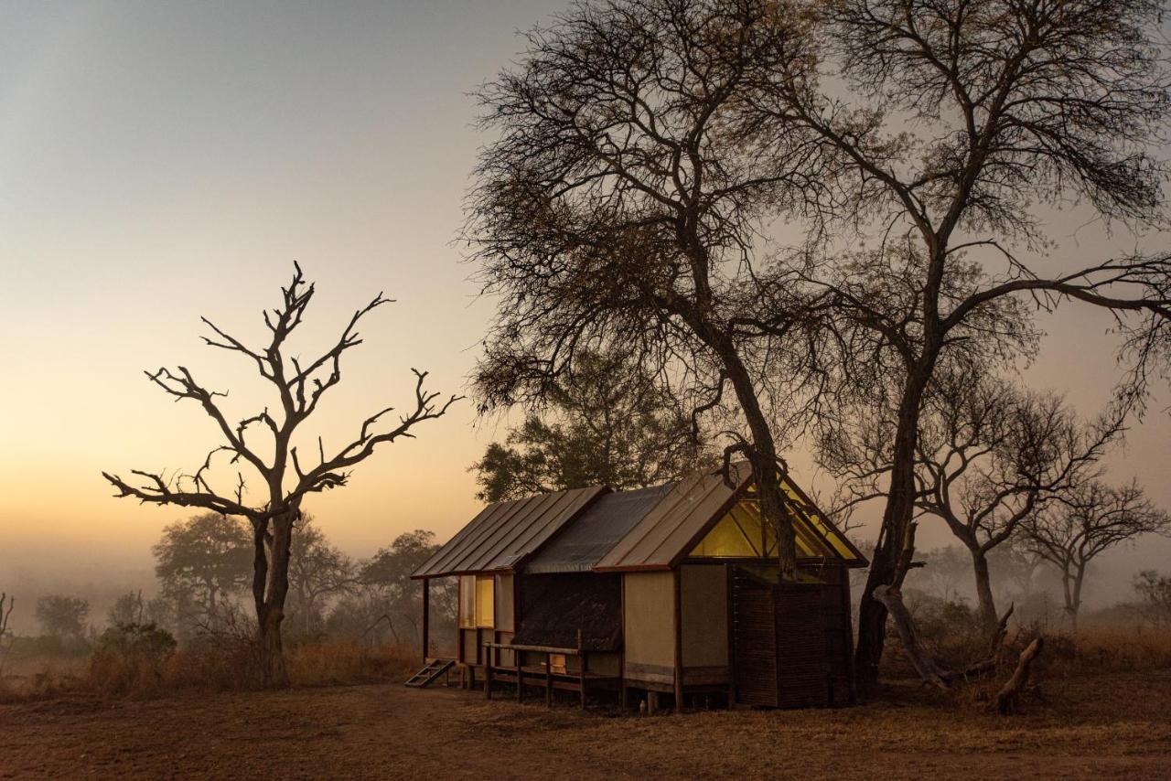 Buffelshoek Tented Camp Manyeleti Game Reserve Exterior foto