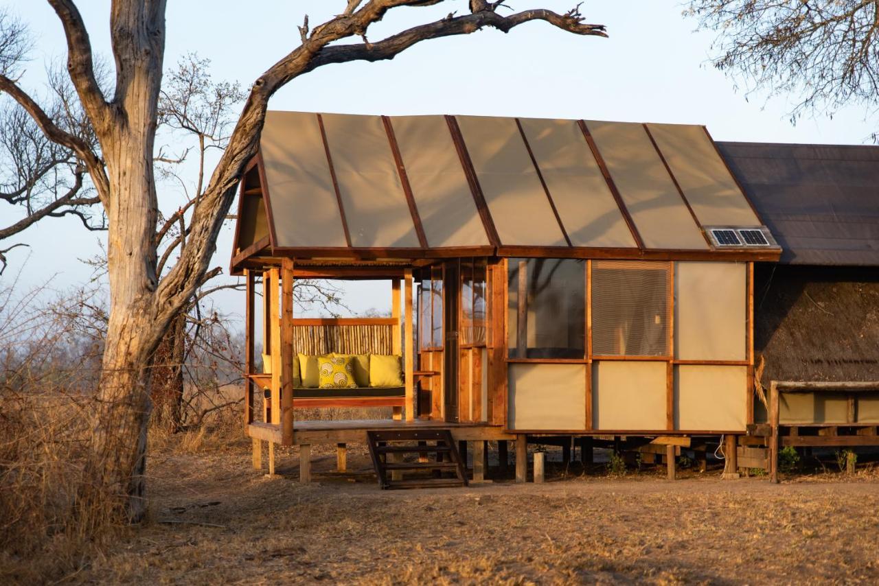 Buffelshoek Tented Camp Manyeleti Game Reserve Exterior foto