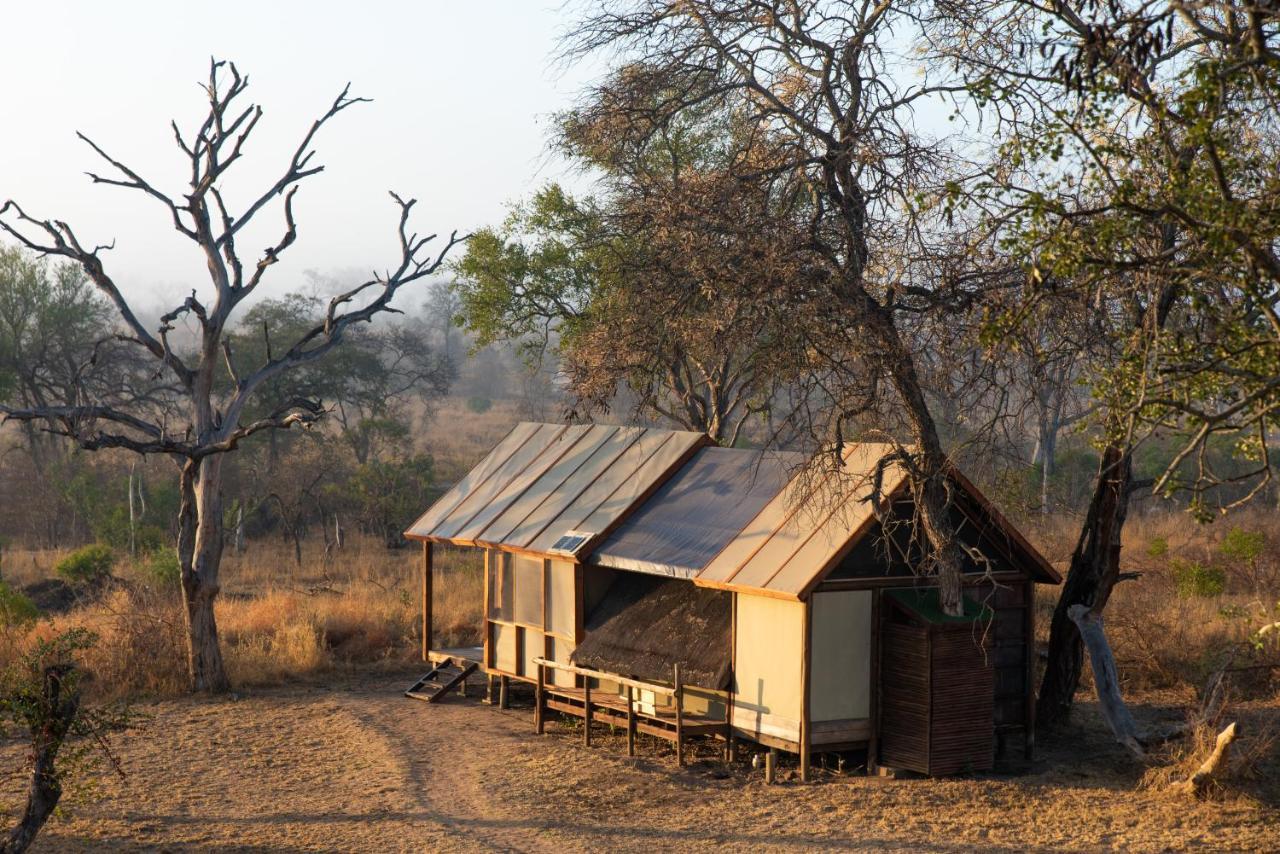 Buffelshoek Tented Camp Manyeleti Game Reserve Exterior foto