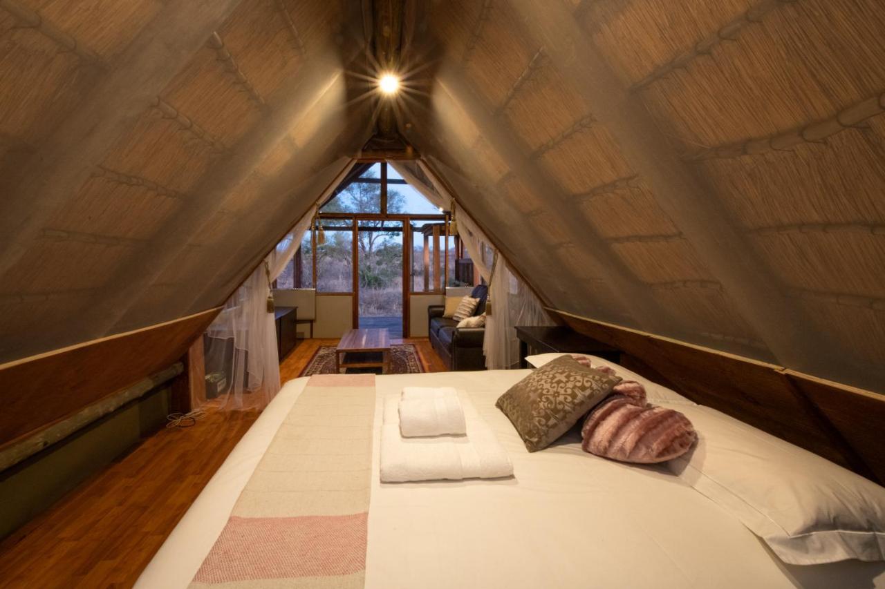 Buffelshoek Tented Camp Manyeleti Game Reserve Exterior foto